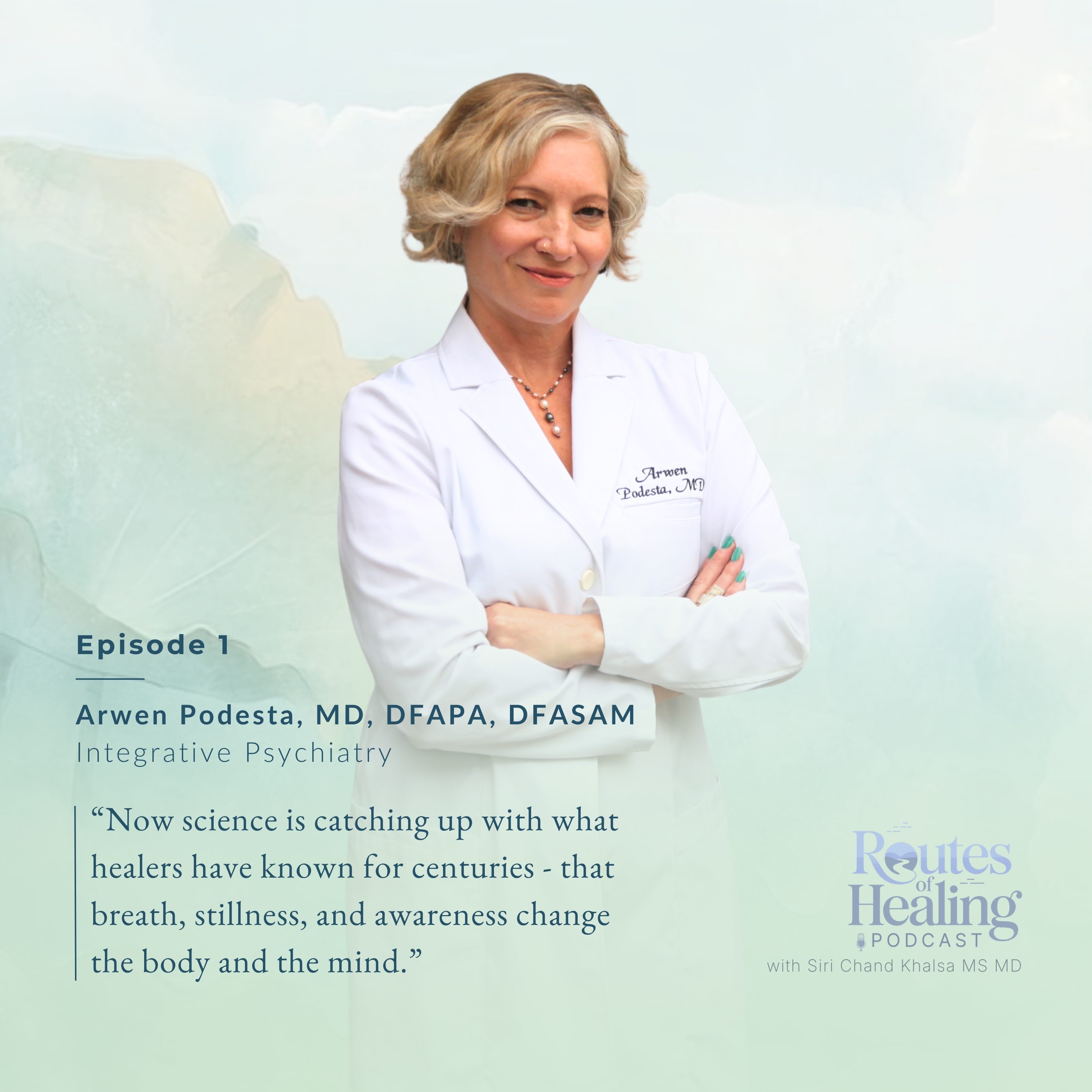 Blending Science & Soul: Integrative Psychiatry for the Modern Clinician with Dr. Arwen Podesta episode artwork