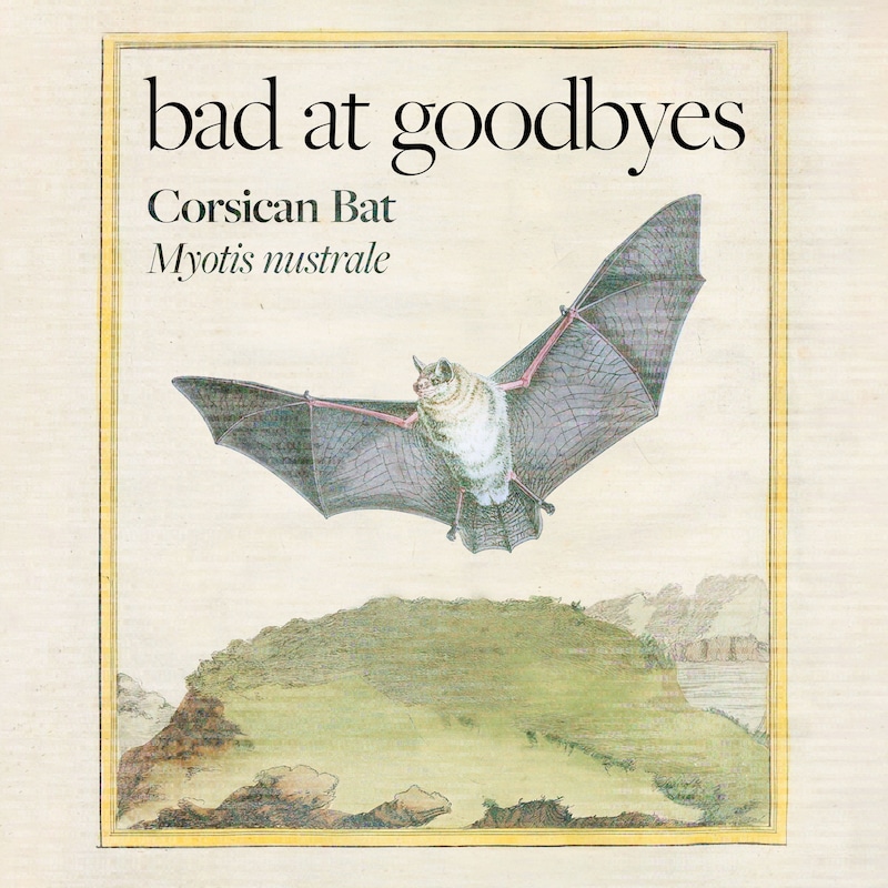 Artwork for podcast Bad at Goodbyes