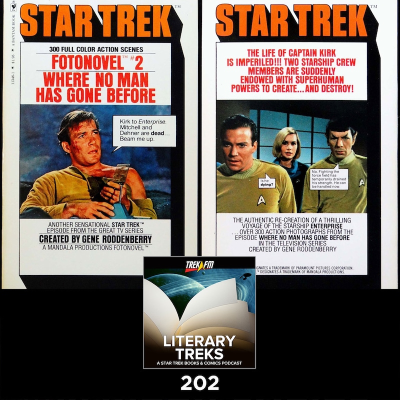 Artwork for podcast Literary Treks: A Star Trek Books and Comics Podcast