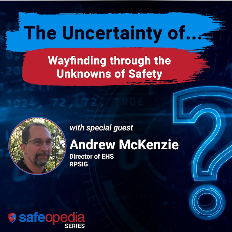 Artwork for podcast Safeopedia Podcasts