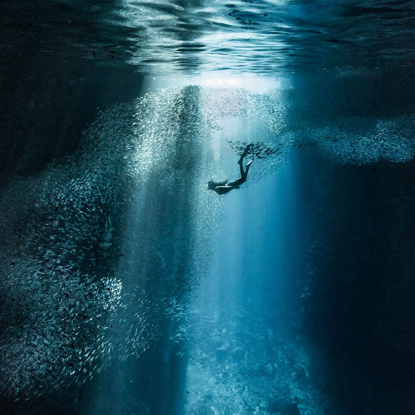 Life in the Deep Blue: Diving the World’s Oceans with Author and Photographer Pier Nirandara
