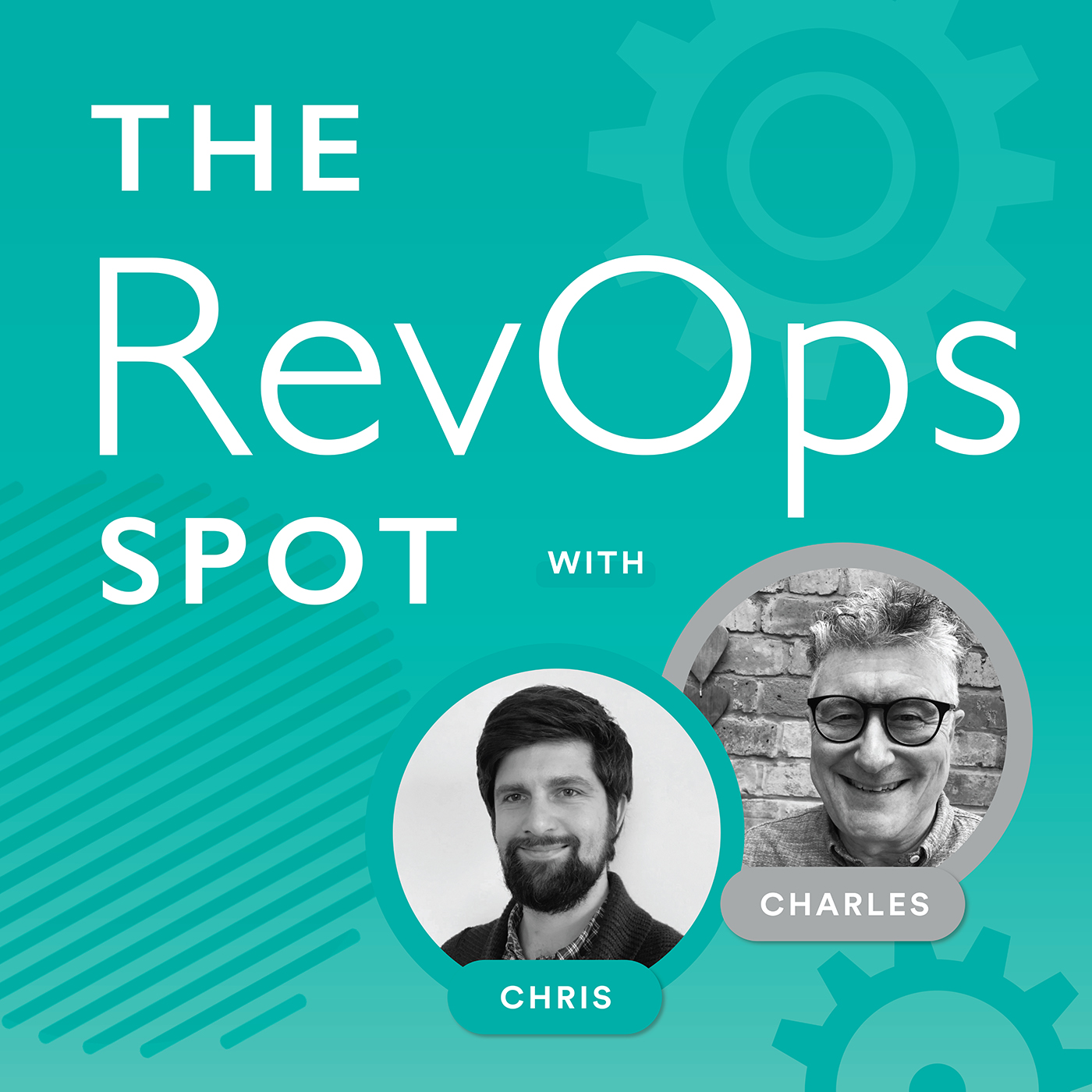 Artwork for podcast The RevOps Spot