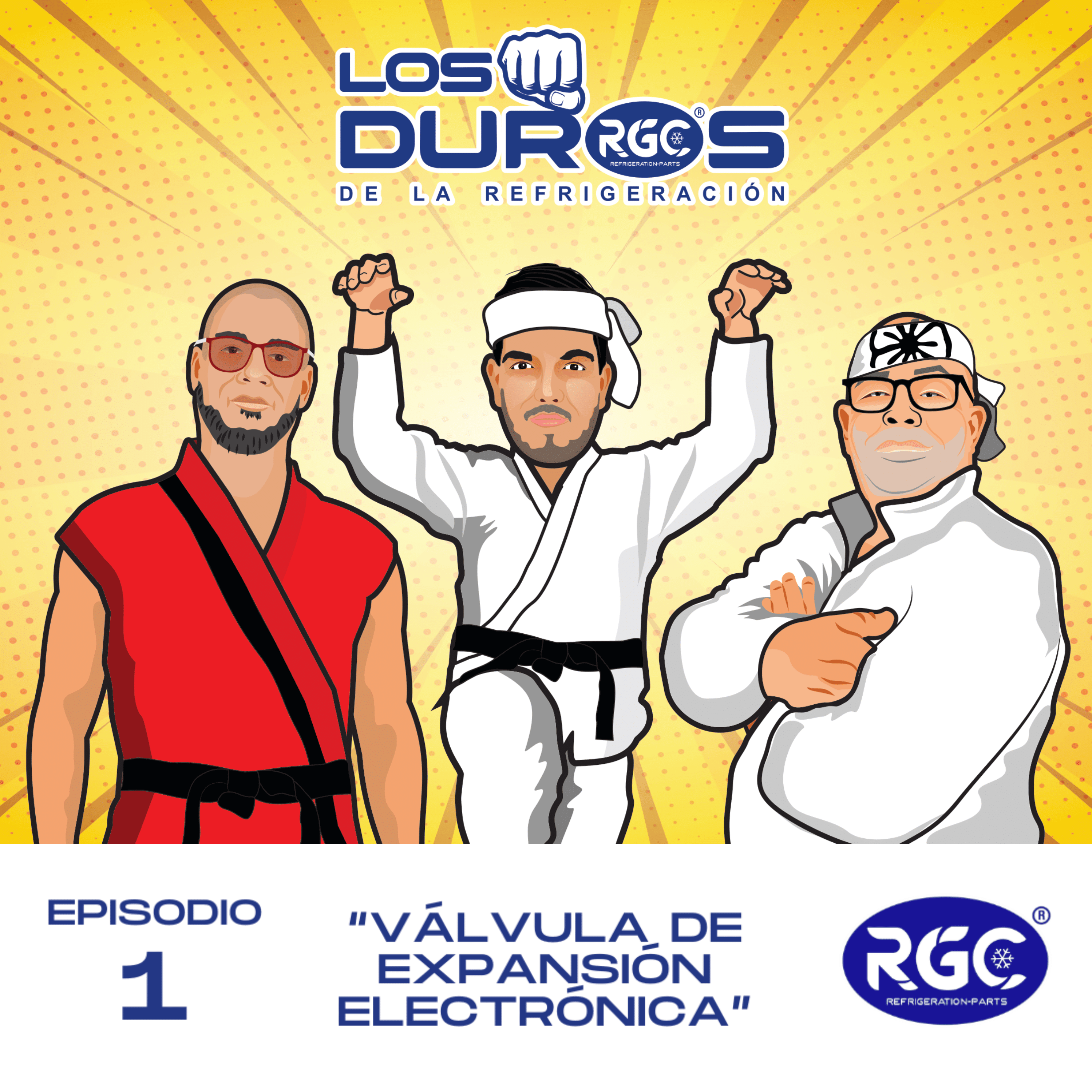 Los Duros de la Refrigeración