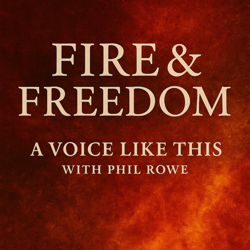 Artwork for podcast A Voice Like This