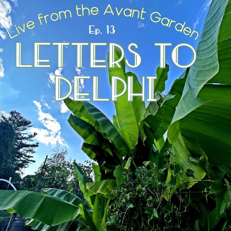 Artwork for podcast Live from the Avant Garden