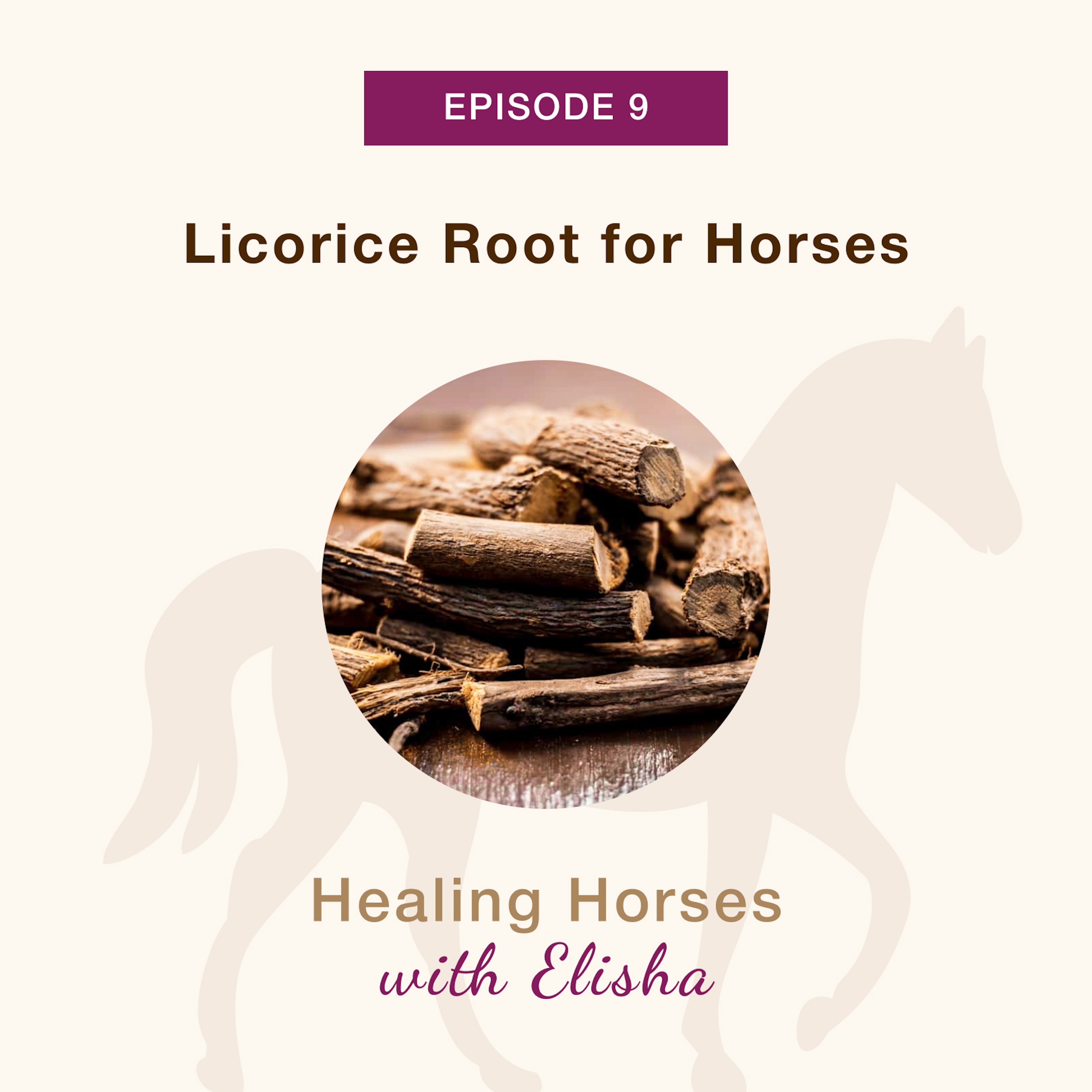 09: Licorice Root for Horses