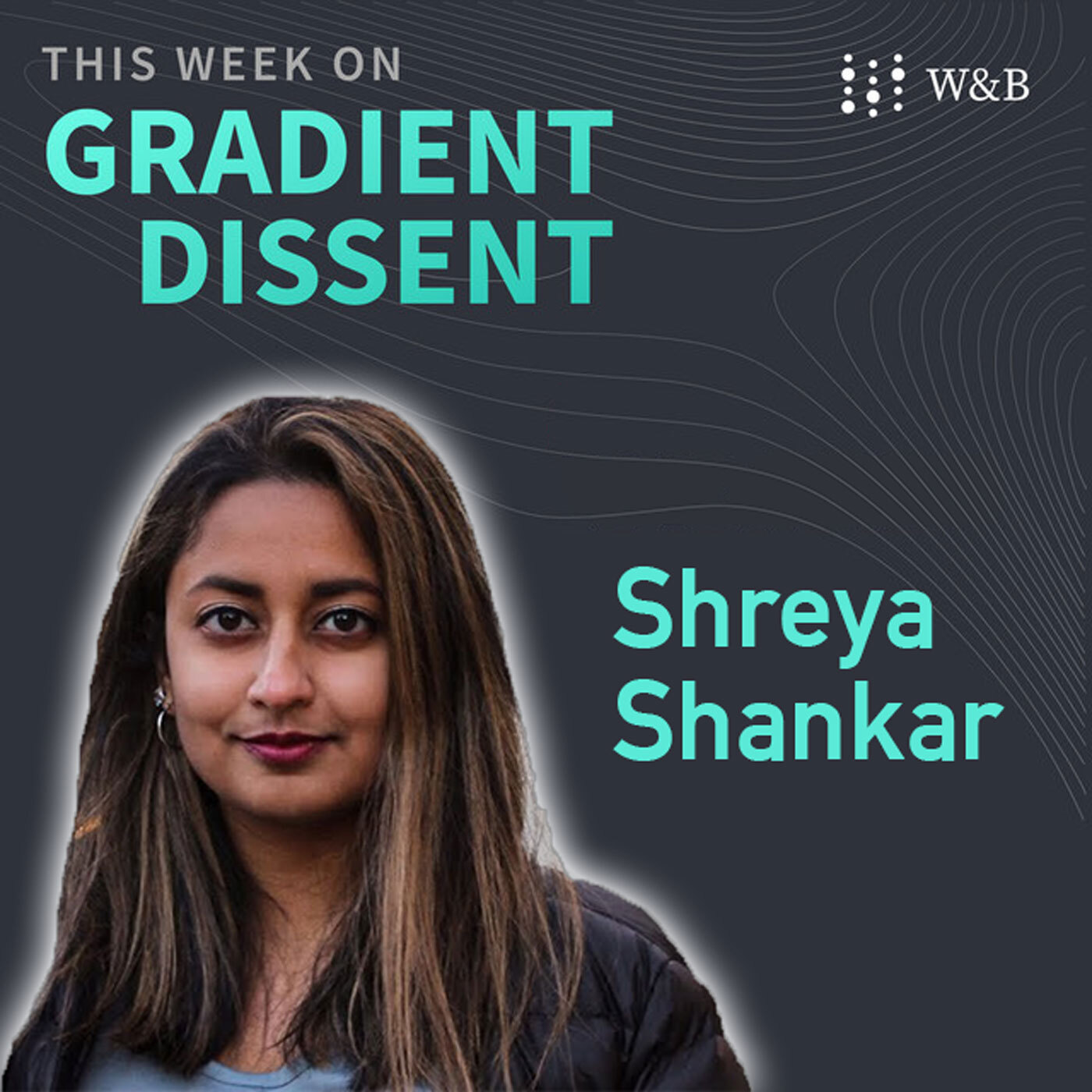 Shreya Shankar — Operationalizing Machine Learning