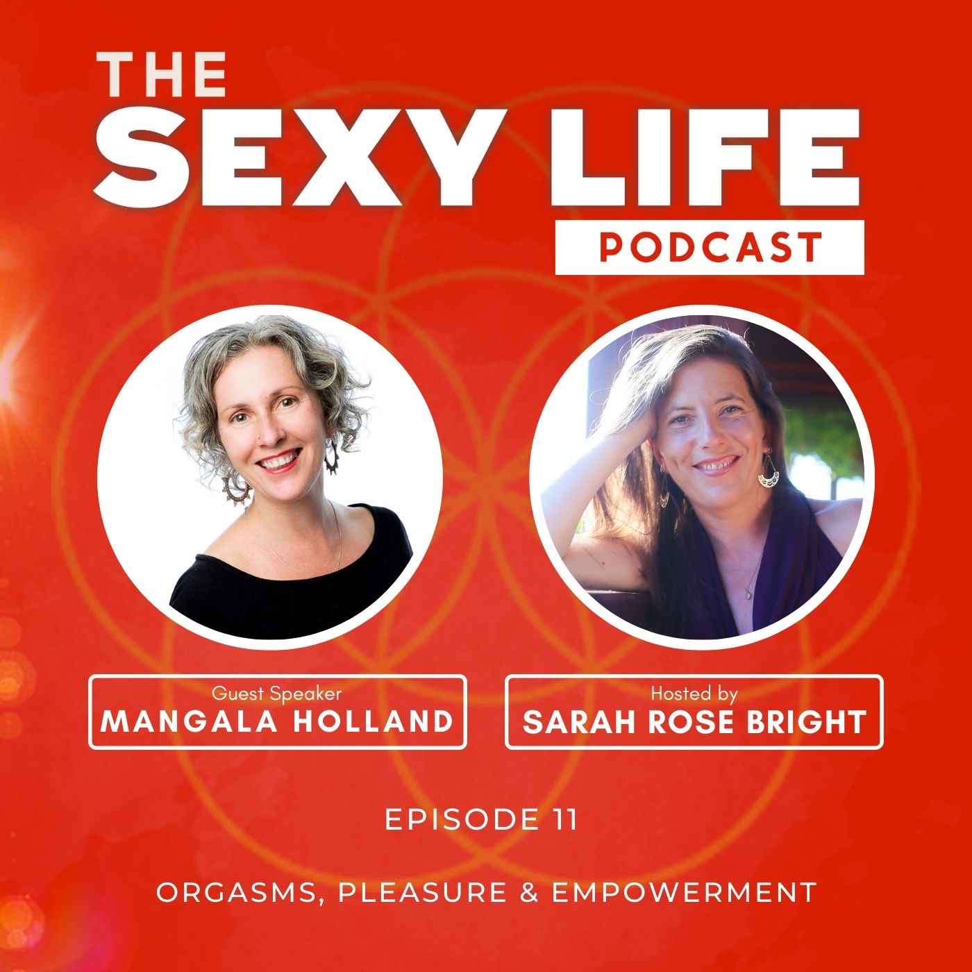 Artwork for podcast The Sexy Life Podcast