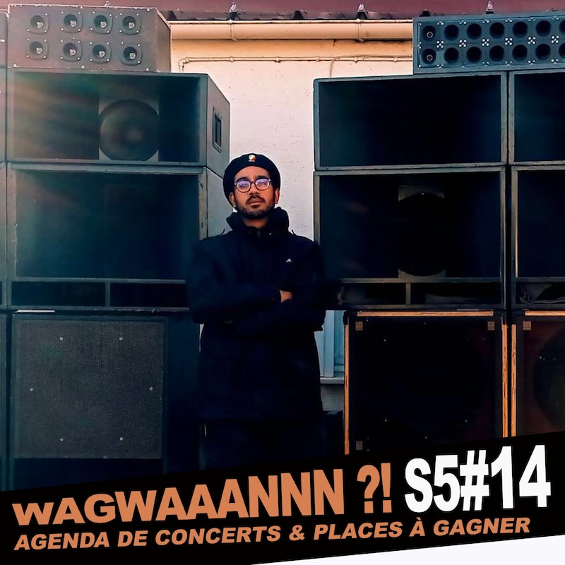 Artwork for podcast WAGWAAANNN ?!