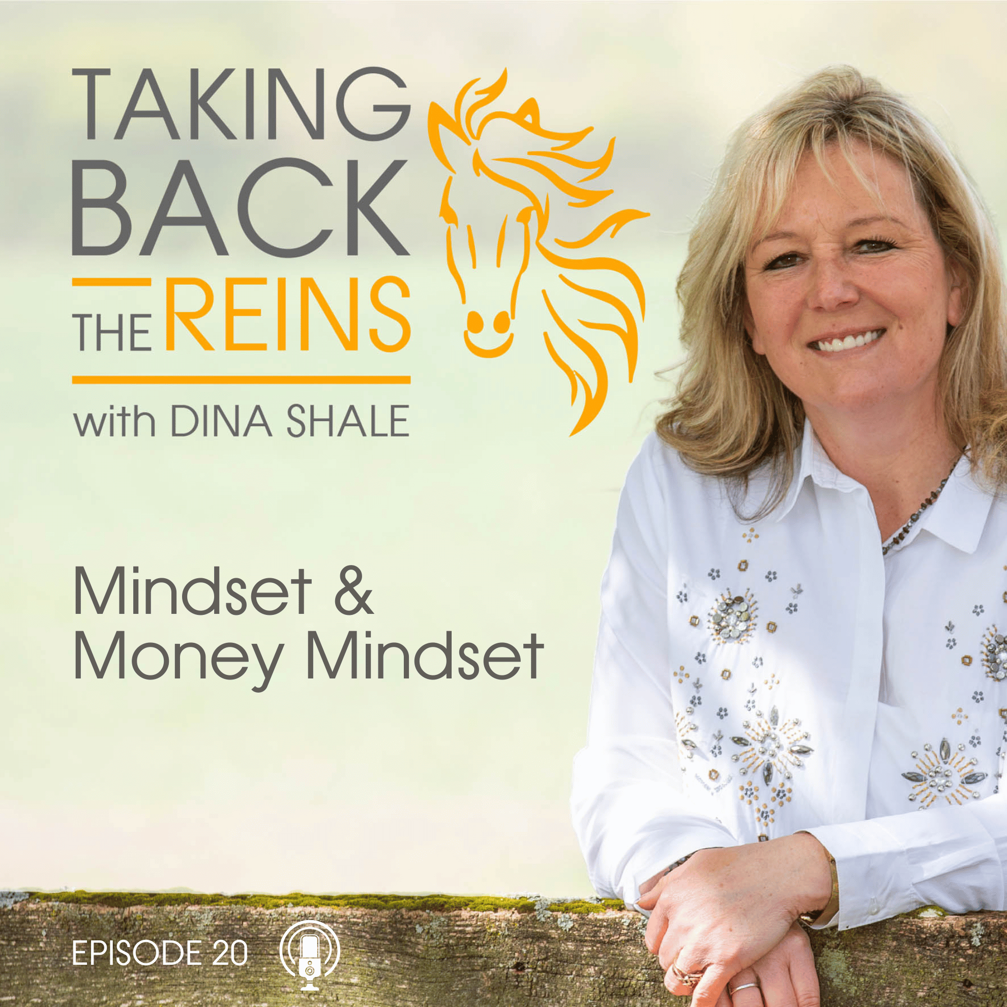 020 Mindset & Money Mindset episode artwork