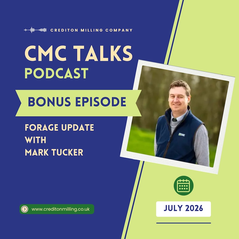 Artwork for podcast CMC Talks