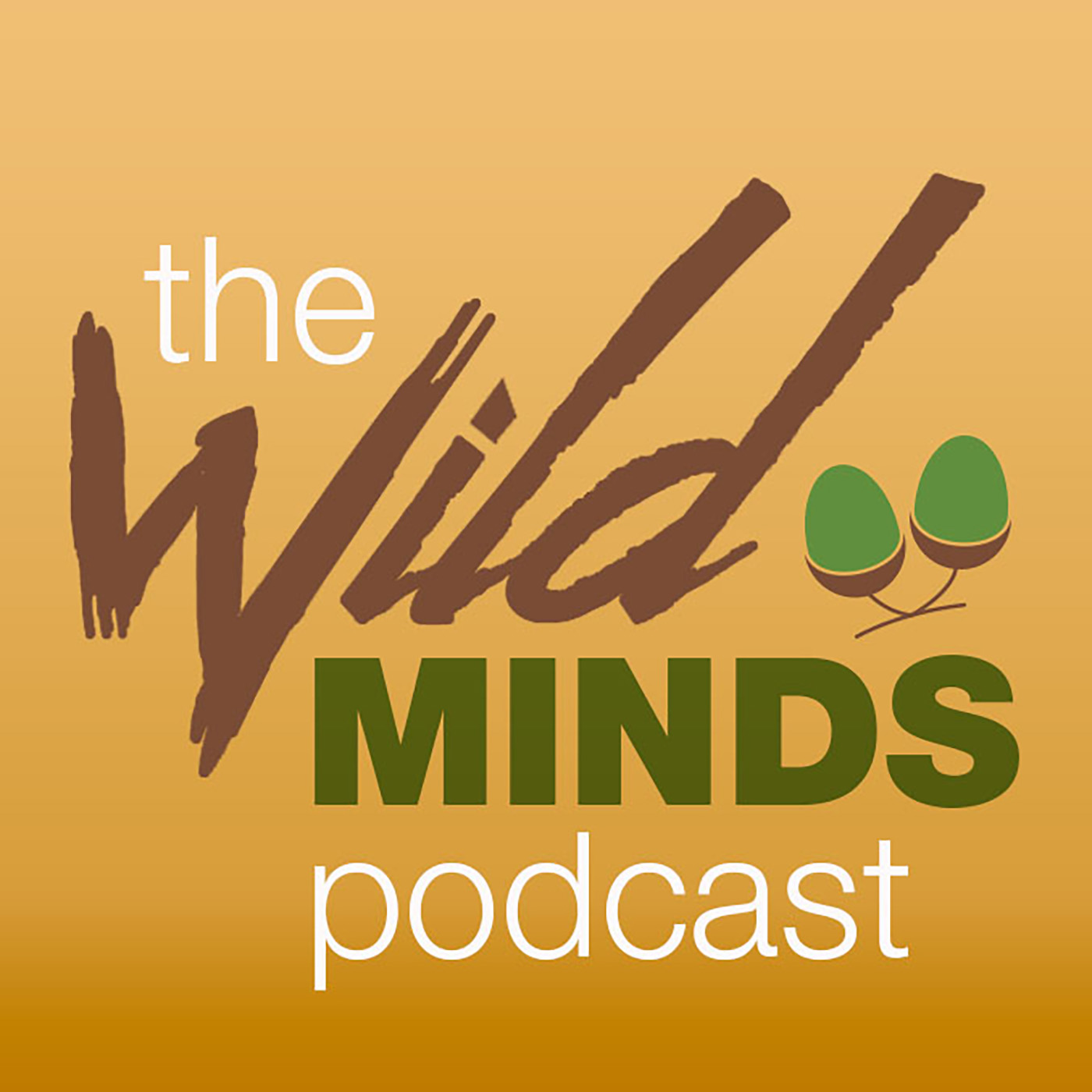 Artwork for podcast The Wild Minds Podcast