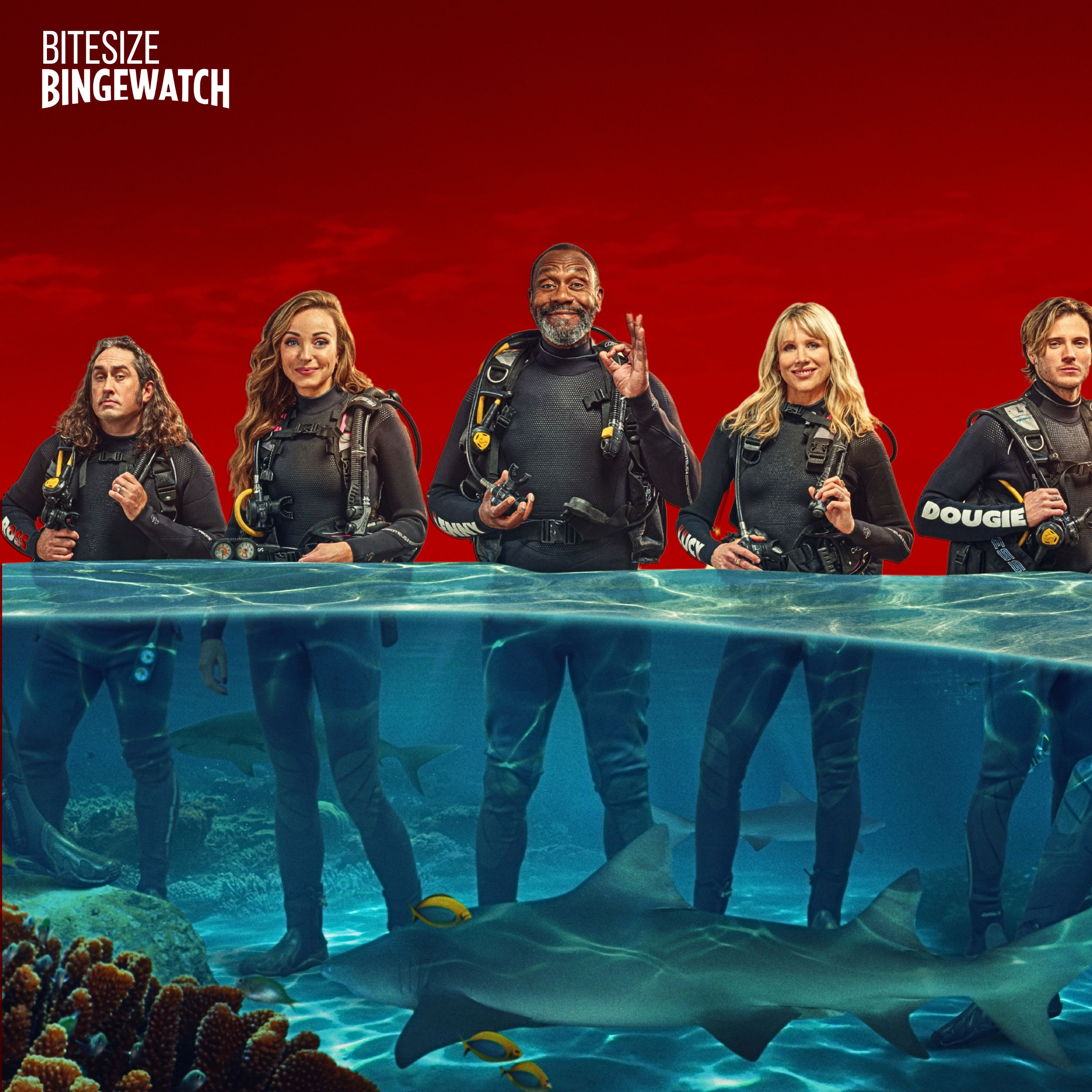 Bitesize Bingewatch