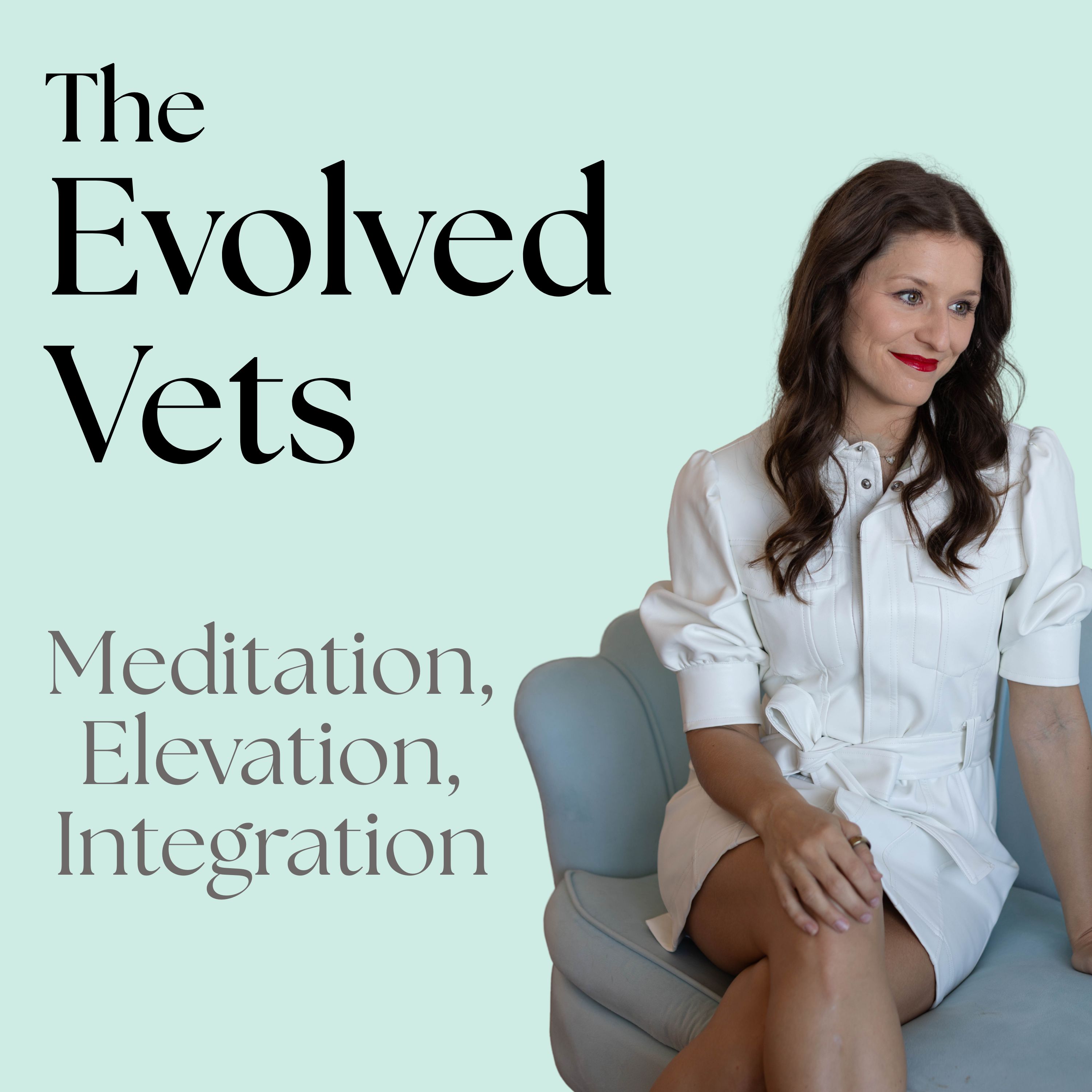 Meditation, Elevation, Integration: The Evolved Vets Method for Healing, Growth, and Sustainable Leadership (EP 2)
