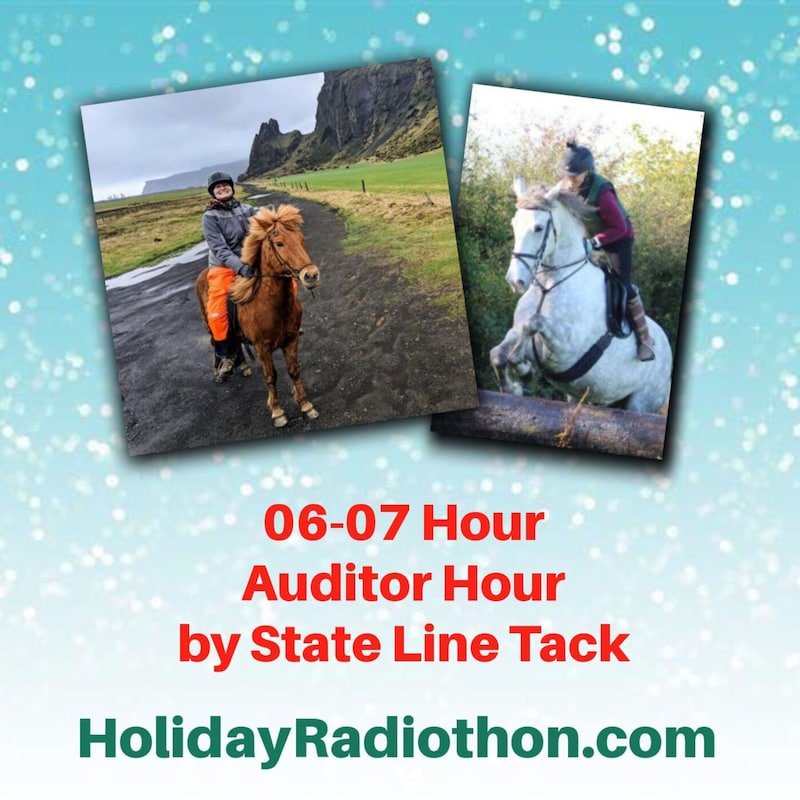 Artwork for podcast Horses in the Morning