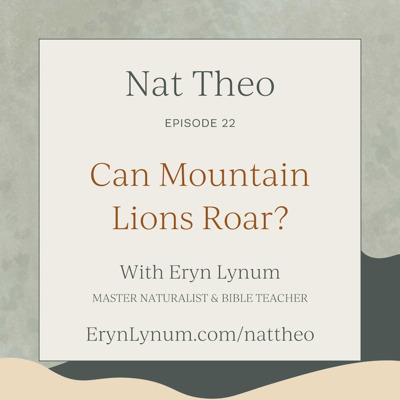 Artwork for podcast Nat Theo Nature Lessons Rooted in the Bible