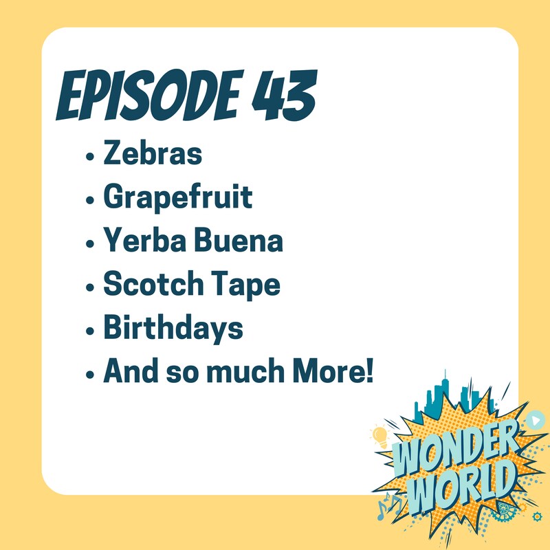 Artwork for podcast The Wonder World Podcast