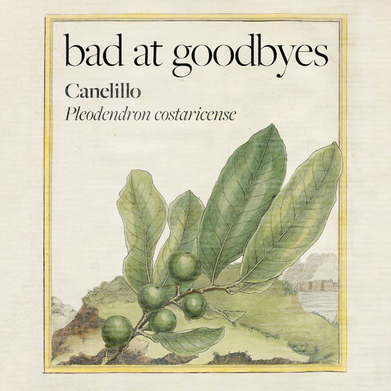 Artwork for podcast Bad at Goodbyes