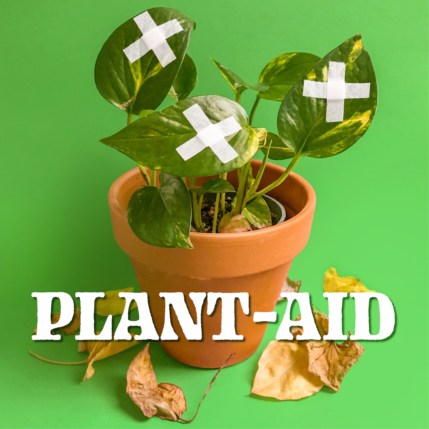 Artwork for Plant-Aid with Planto Momma
