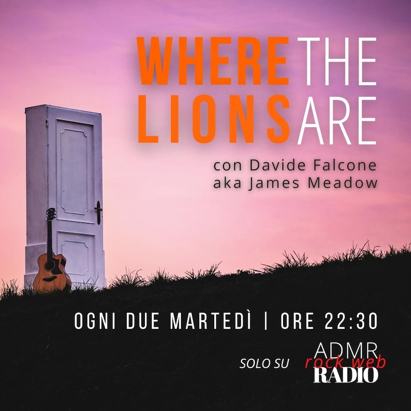Artwork for podcast Where the Lions are