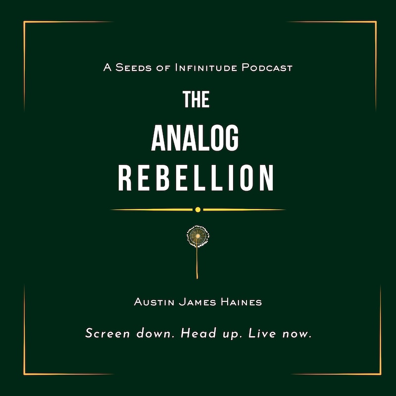 Artwork for podcast The Analog Rebellion