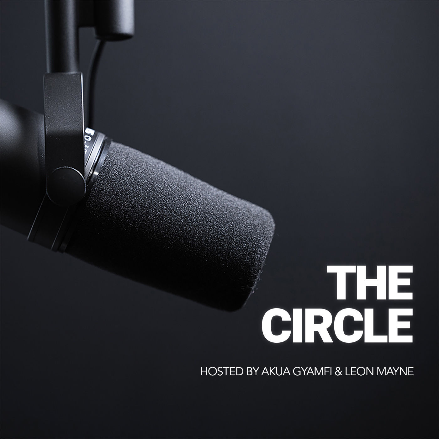 Artwork for podcast The Circle