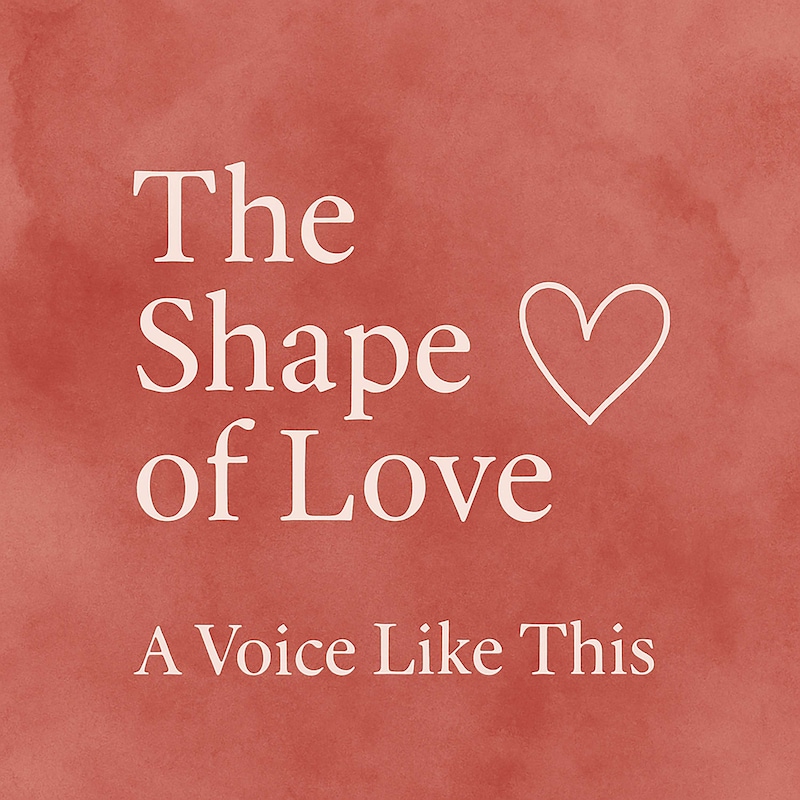 Artwork for podcast A Voice Like This