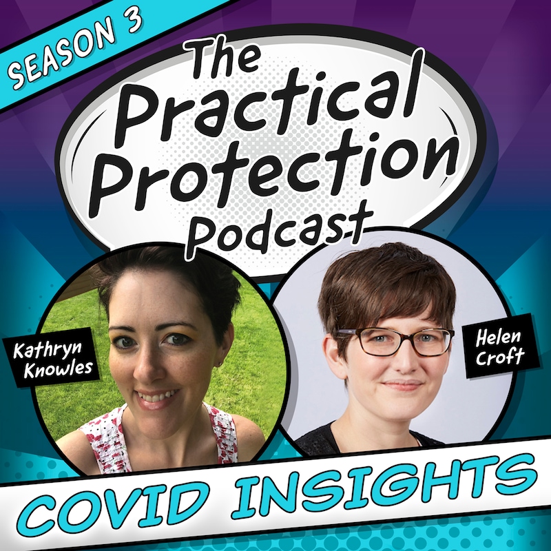 Artwork for podcast The Practical Protection Podcast