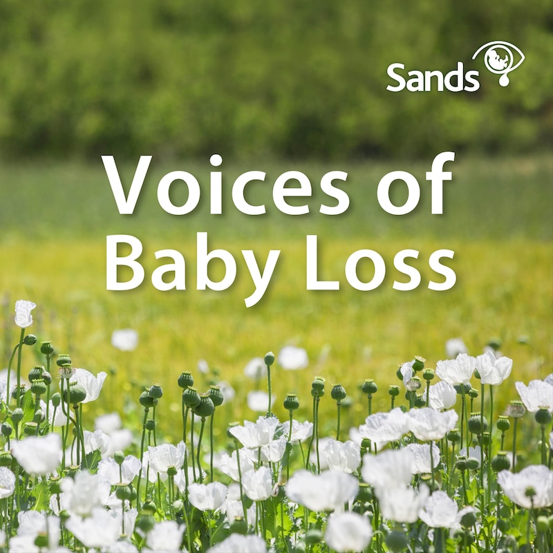 Artwork for podcast Voices of Baby Loss