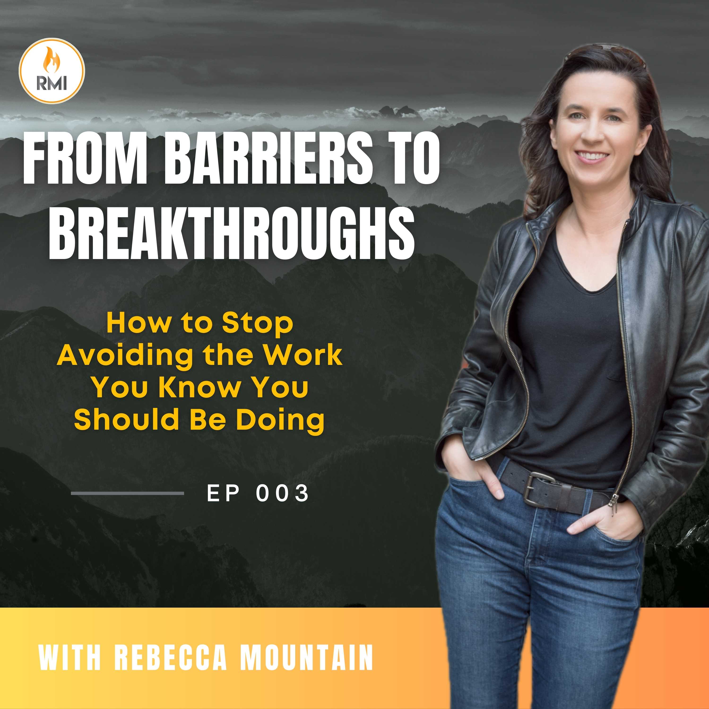 How to Stop Avoiding the Work You Know You Should Be Doing | S2E003