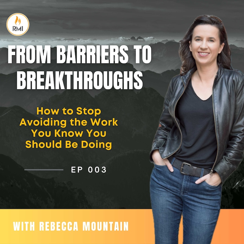 Artwork for podcast From Barriers to Breakthroughs