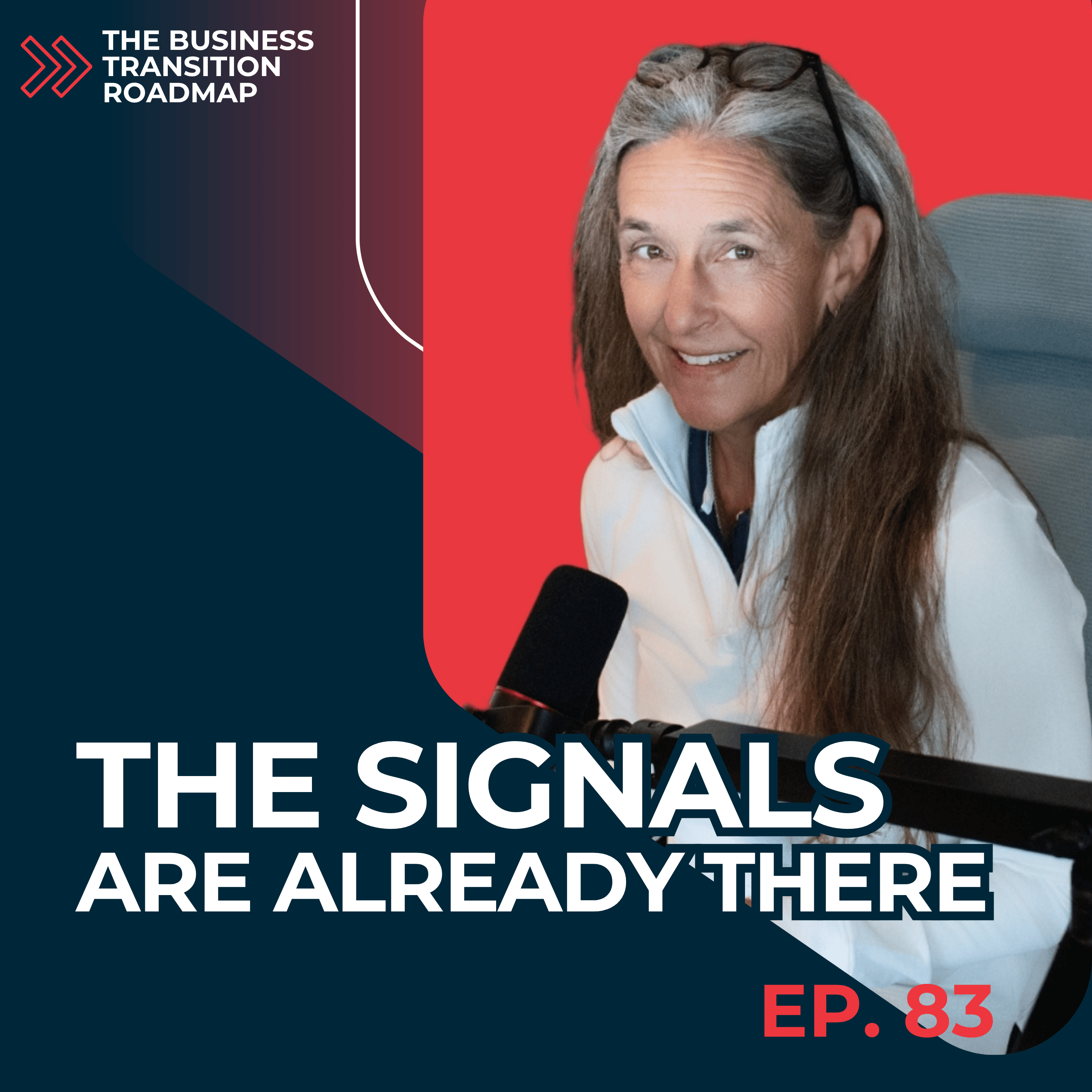 The Signals Are Already There episode artwork