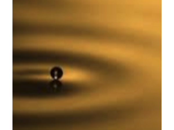 Sound Health Options - Richard ~ TalkToMeGuy & Sharry Edwards