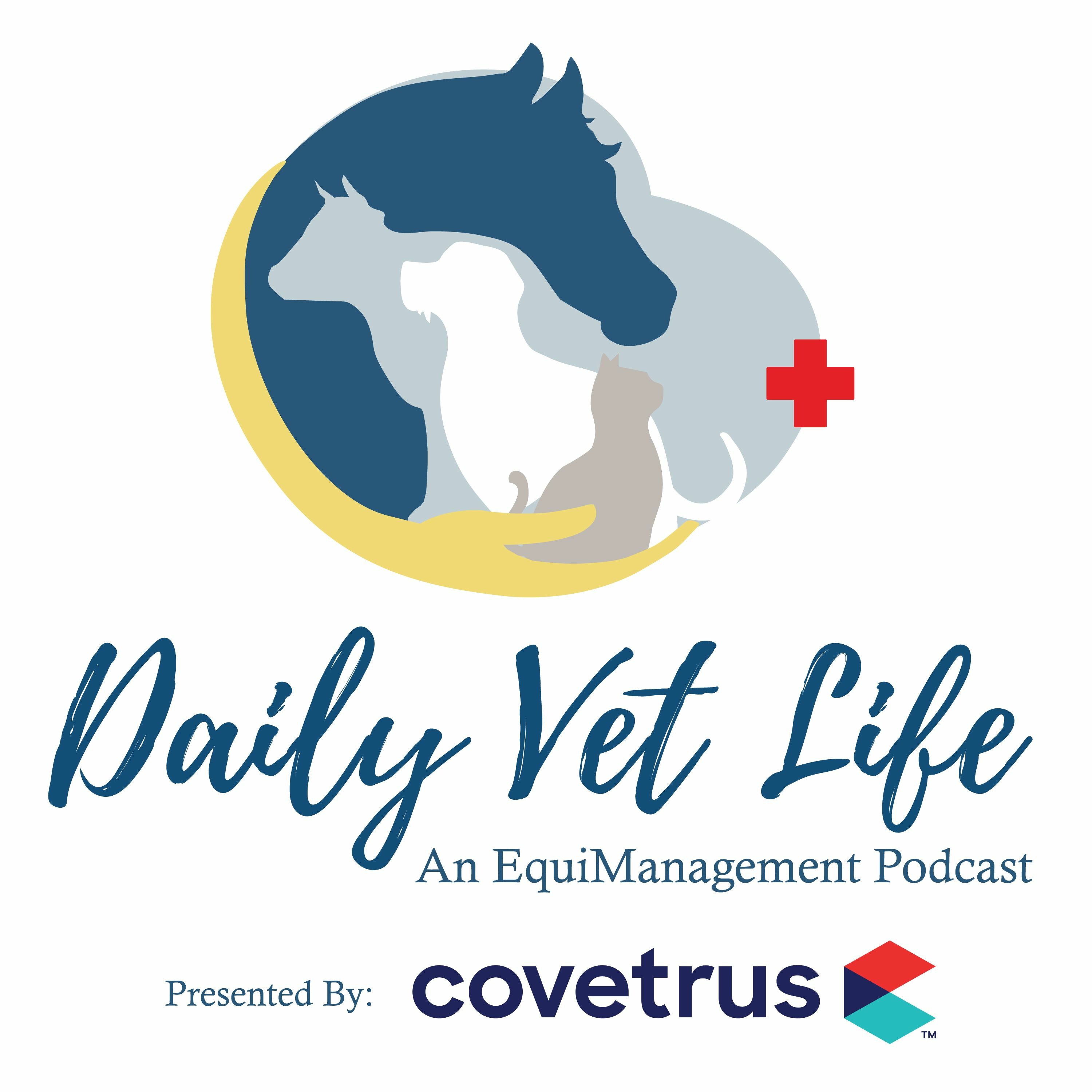 Daily Vet Life