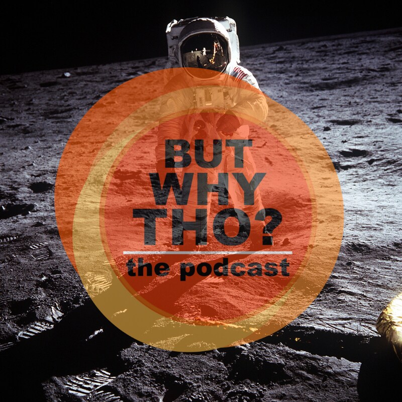 Artwork for podcast But Why Tho?