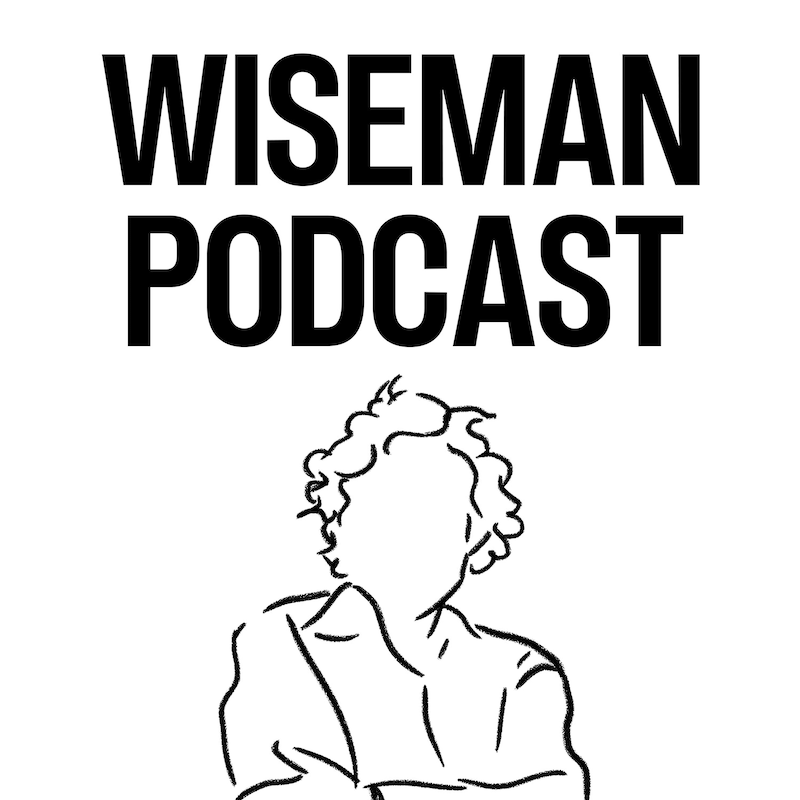 Artwork for podcast Wiseman Podcast