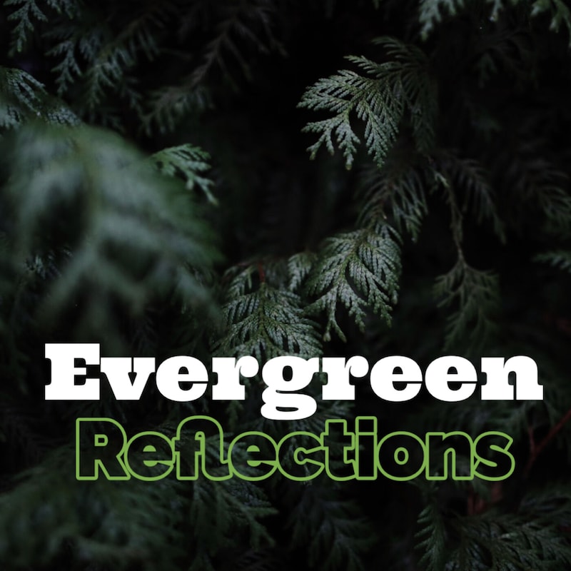 Artwork for podcast Progressive Perspectives - With H. Jay Dunmore