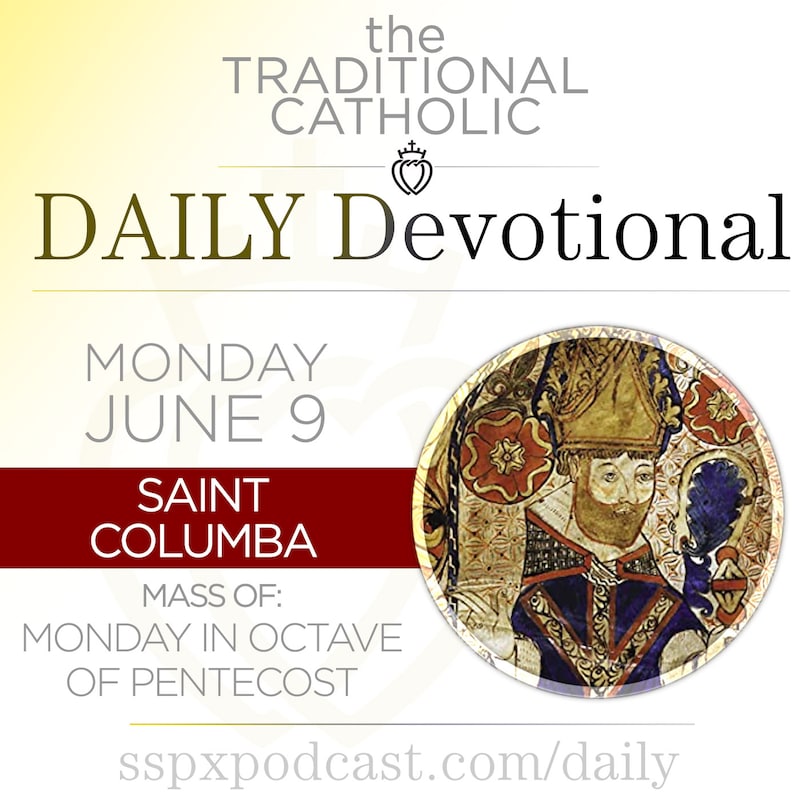 Artwork for podcast Traditional Catholic Daily Devotional