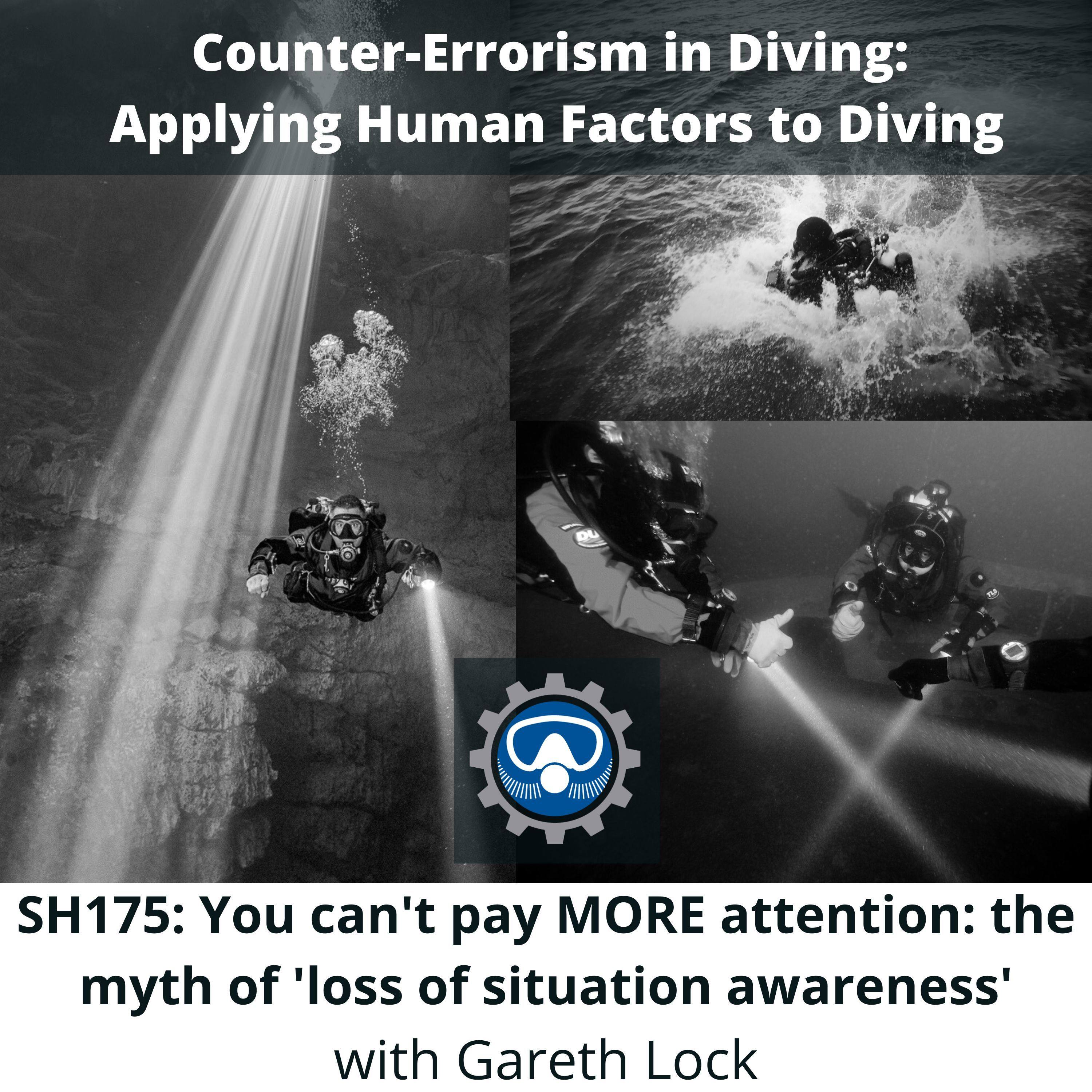 SH175: You can't pay MORE attention: the myth of 'loss of situation awareness'