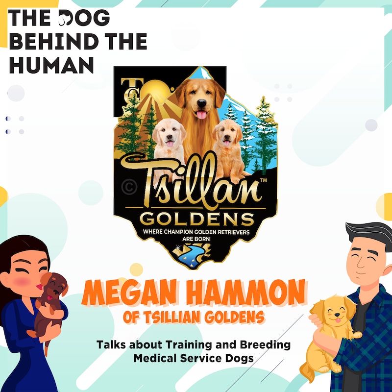 Artwork for podcast The Dog Behind The Human