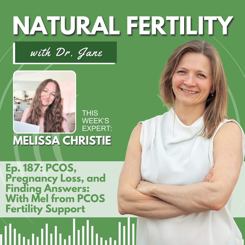 Artwork for podcast Natural Fertility with Dr. Jane