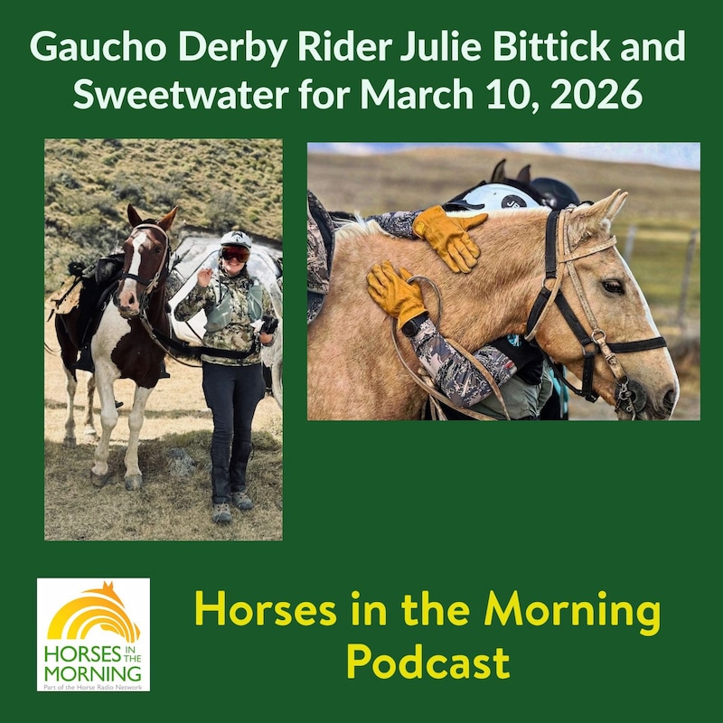 Artwork for podcast Endurance Rider