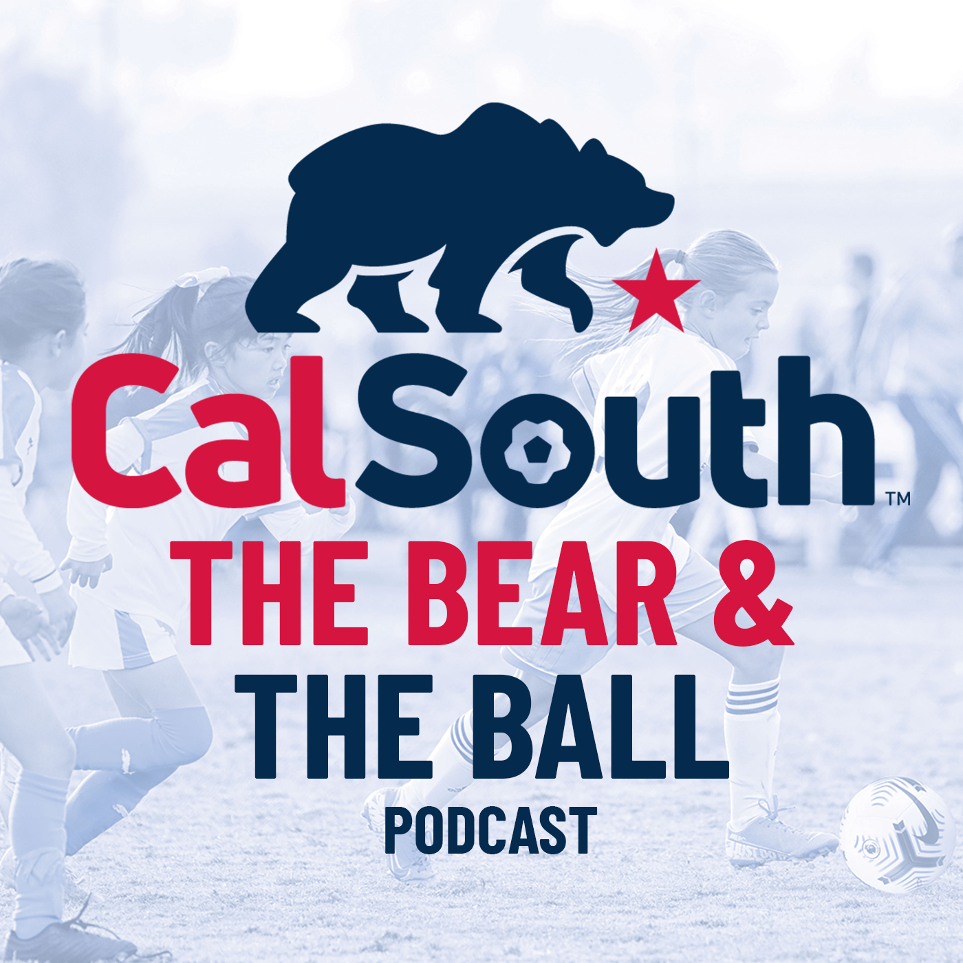 Artwork for podcast The Bear and the Ball