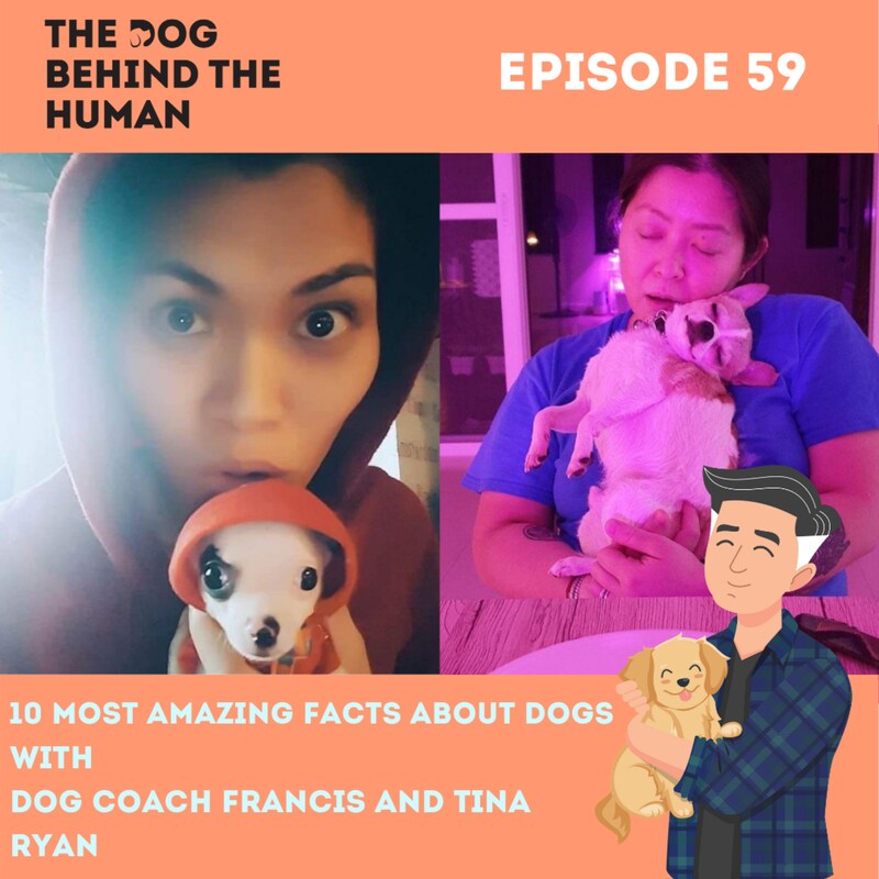 Artwork for podcast The Dog Behind The Human