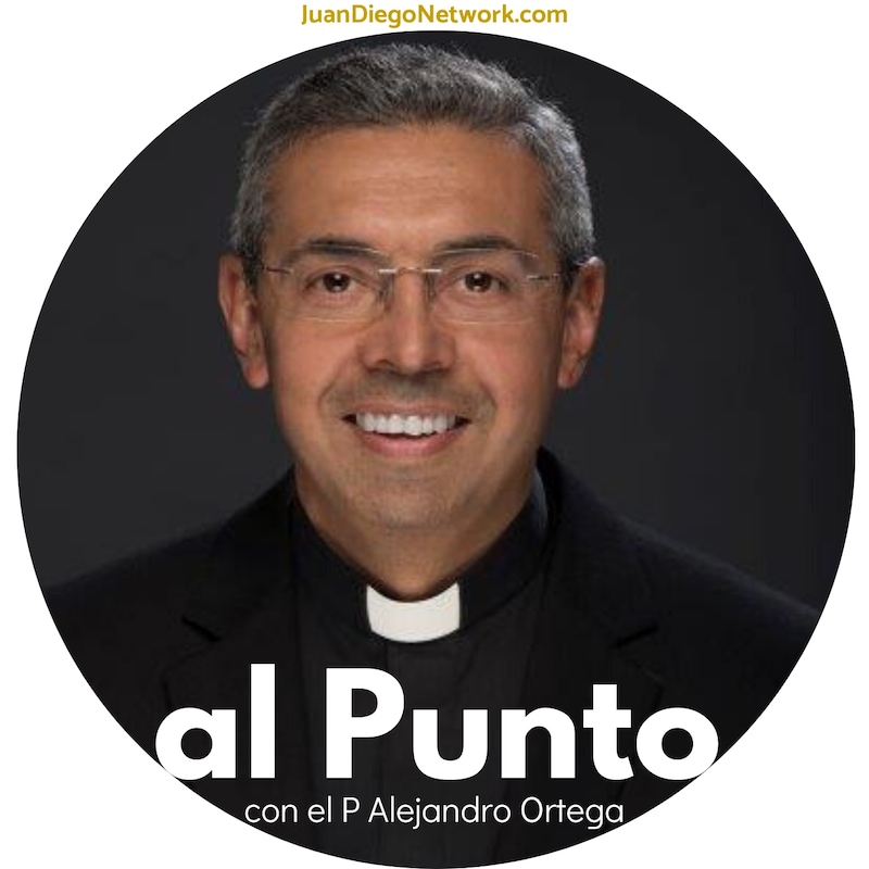 Artwork for podcast al Punto con el P Alejandro Ortega