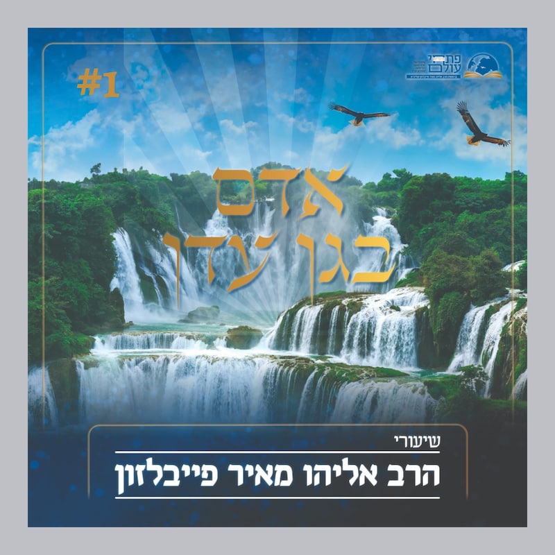 Artwork for podcast שיעורי הרב פייבלזון