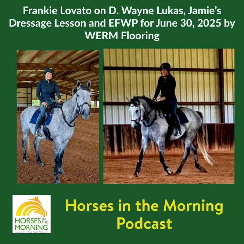 Artwork for podcast HORSES IN THE MORNING