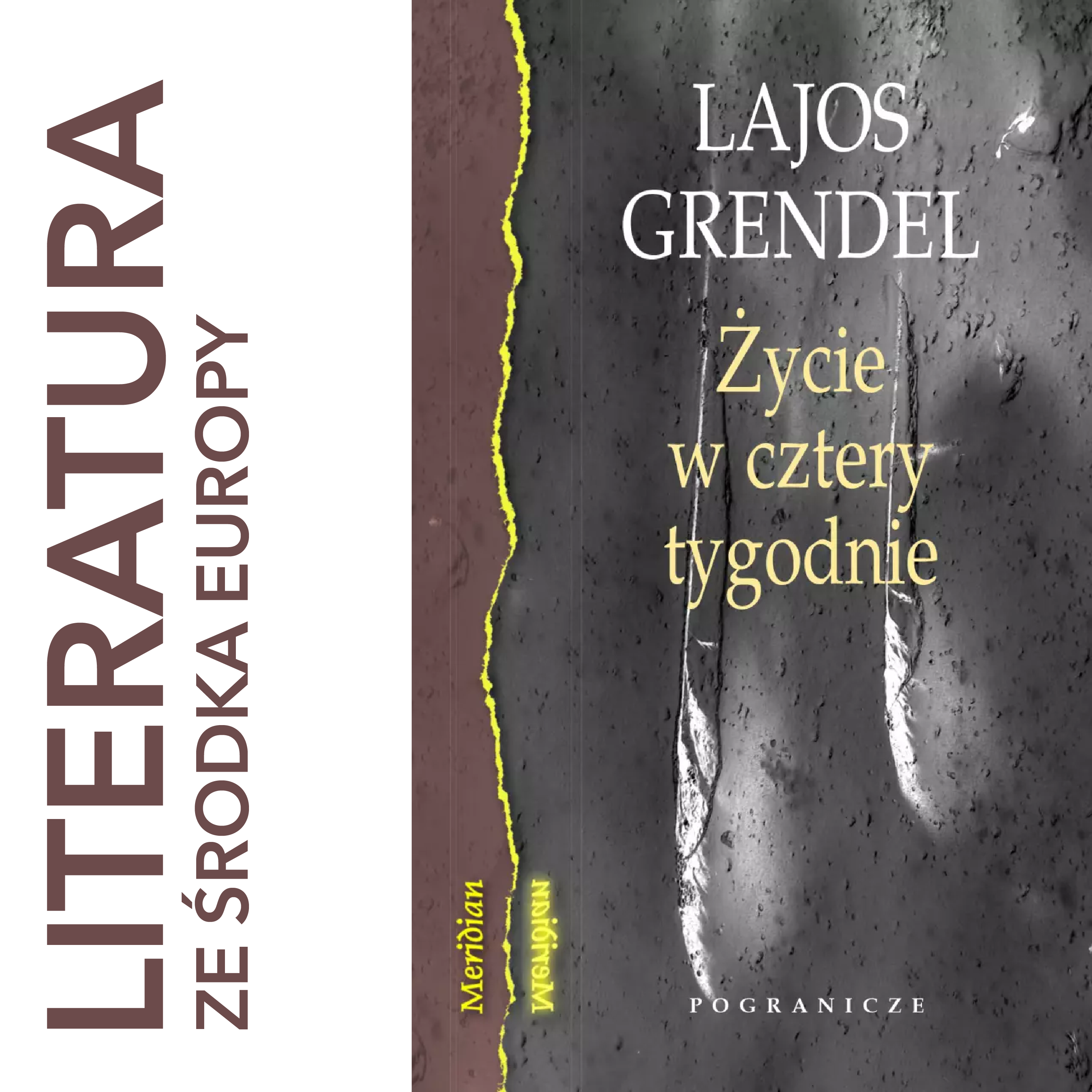 Lajos Grendel 🇭🇺 ŻYCIE W CZTERY TYGODNIE episode artwork