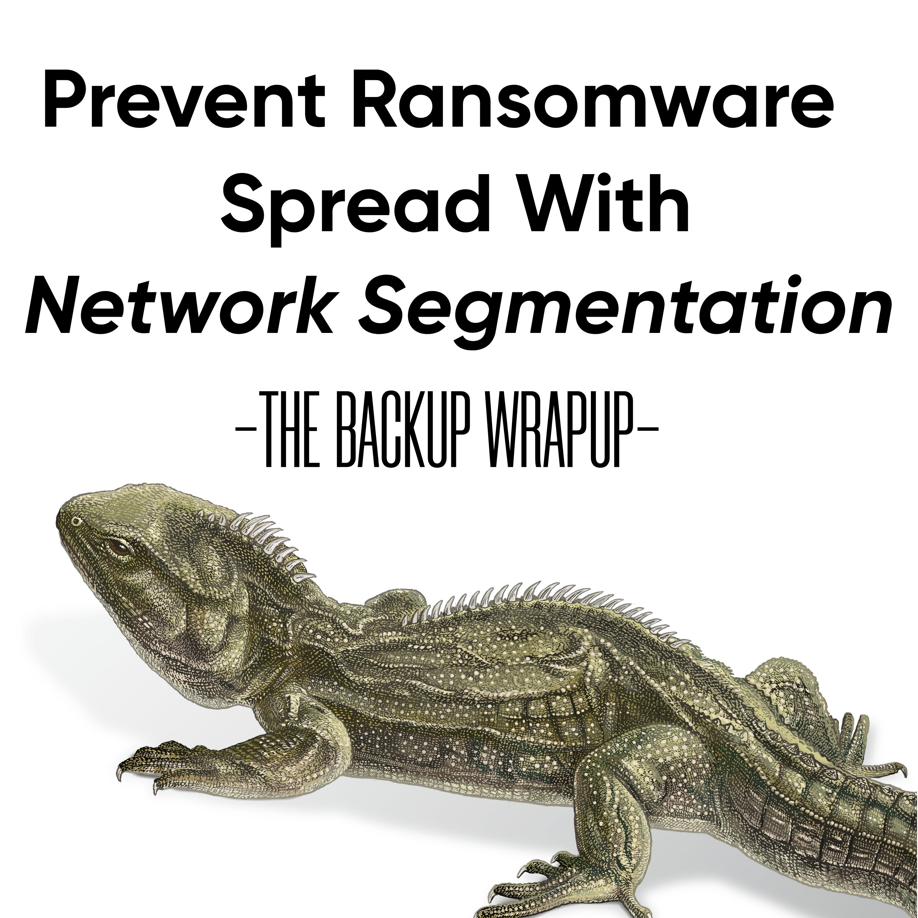 Network Segmentation to Prevent Ransomware: What the UCSF Attack Taught Us