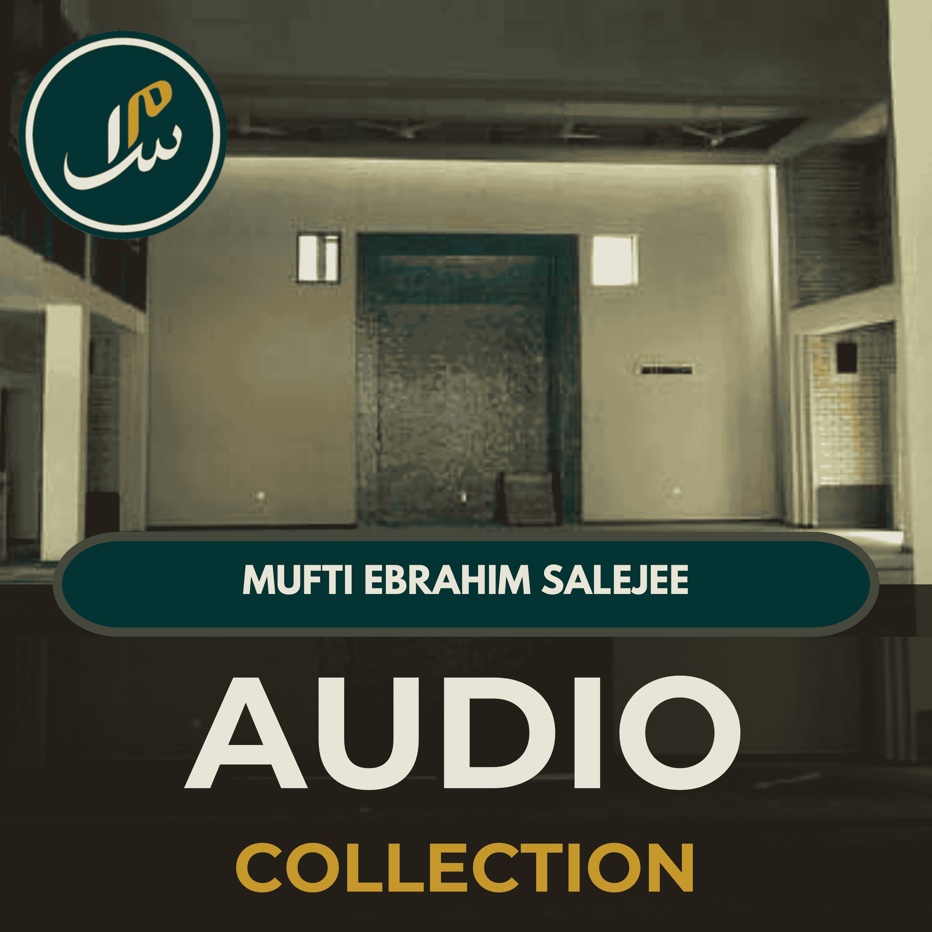 Artwork for Mufti Ebrahim Salejee